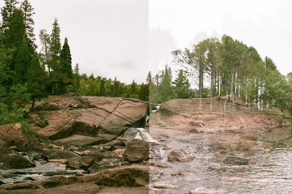 Oops.
Fuji C200.